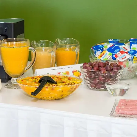 Nautilus - Sea & Nature