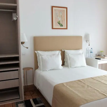 Nautilus - Sea & Nature