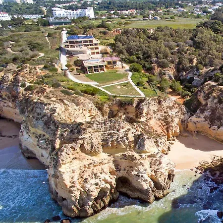 Nautilus - Sea & Nature