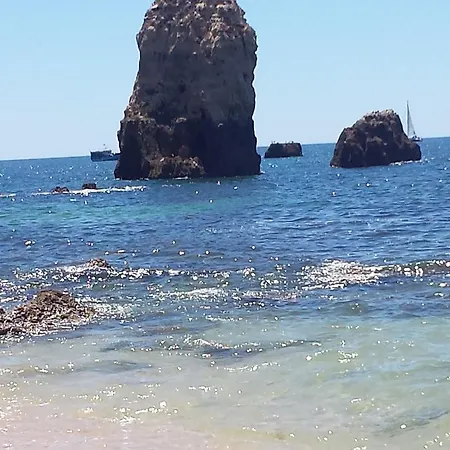Nautilus 4*